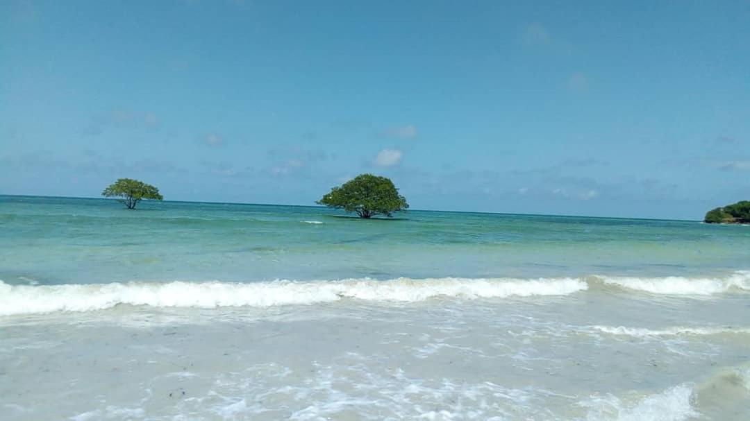 L&J Modern Backpackers Kigamboni Beach House Bed and Breakfast Dar es Salaam Buitenkant foto