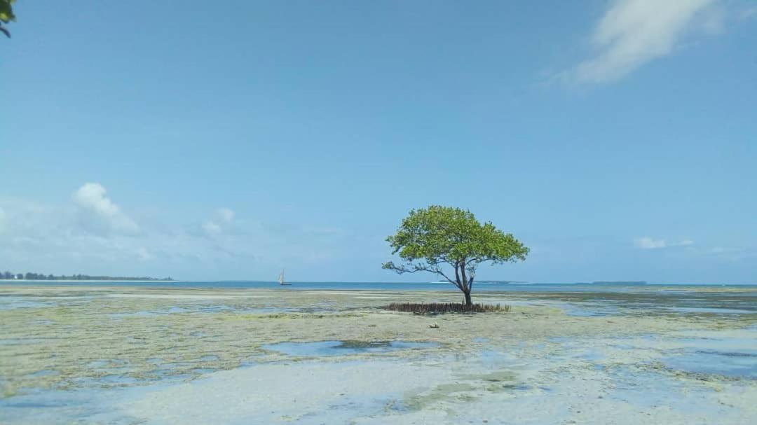L&J Modern Backpackers Kigamboni Beach House Bed and Breakfast Dar es Salaam Buitenkant foto