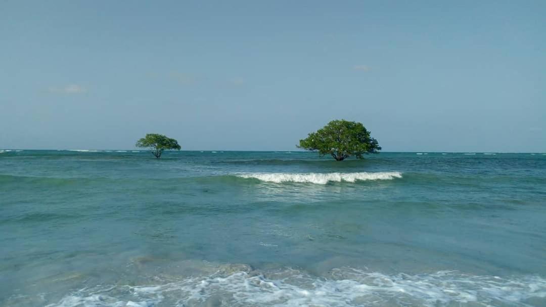 L&J Modern Backpackers Kigamboni Beach House Bed and Breakfast Dar es Salaam Buitenkant foto